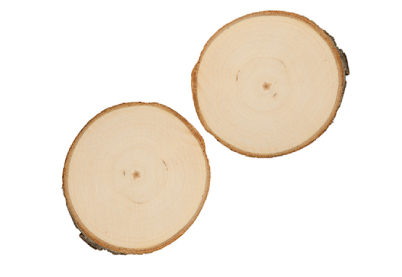 Houten schijf 2 stuks ca. Ø 6-7x2 cm rond